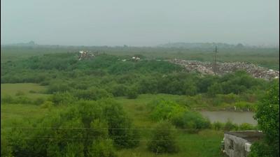 Acting on environmentalists’ series of complaints against destruction of mangroves and continuous threats to wetlands in the ecologically-sensitive Uran, the State Forest department has asked the Mangrove Cell to look into the issues and take action to protect the environment. (HT FILE)
