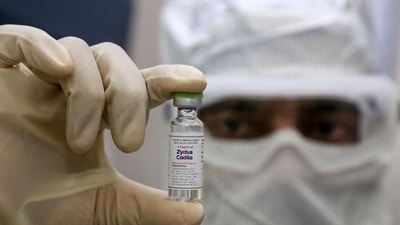 Zydus Cadila Covid-19 vaccine (File Photo) Zydus Cadila Covid-19 vaccine (File Photo)
