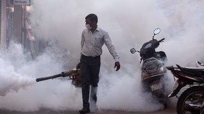 No dengue death was reported in either Chandigarh, Mohali or Panchkula on the day. (Hindustan Times)