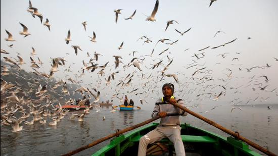 A boy rows a boat as seagulls fly over the waters of the Yamuna river, on a smoggy morning in New Delhi on Thursday. (REUTERS)