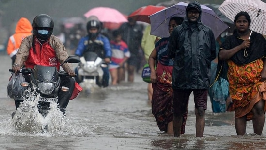Schools, colleges to remain closed in Karaikal as IMD predicts heavy rain. (AFP Photo)