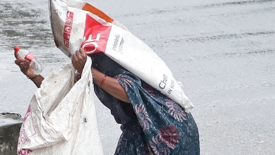 A woman covers herself with a plastic bag picking up garbage during a rainfall, in Bengaluru on Thursday. (ANI Photo)