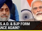 Will SAD & BJP form alliance again?