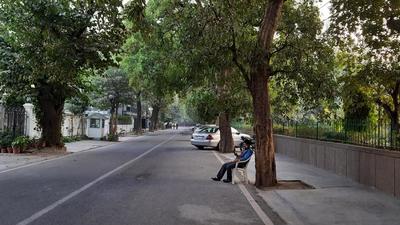 HT, on December 11, last year, reported how 80% of the trees in Vasant Vihar have been concretised. The story was based on a citizens-led tree census, which showed that of a total 4,993 trees on its streets, 3,859 were heavily concretised. (HT Archive) HT, on December 11, last year, reported how 80% of the trees in Vasant Vihar have been concretised. The story was based on a citizens-led tree census, which showed that of a total 4,993 trees on its streets, 3,859 were heavily concretised. (HT Archive)