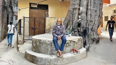 It is 2pm and Mr Singh, as always, is perched on the marble platform that circles the tree’s wide trunk. It is 2pm and Mr Singh, as always, is perched on the marble platform that circles the tree’s wide trunk.