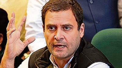 Congress leader Rahul Gandhi (Arun Sharma/HT PHOTO) Congress leader Rahul Gandhi (Arun Sharma/HT PHOTO)