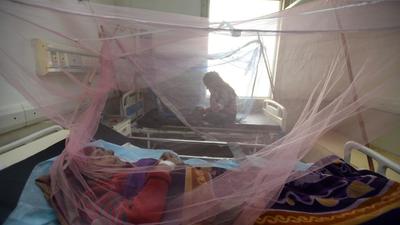 The active cases in the district have been seeing a dip, with 19 patients under treatment at present. (Sunil Ghosh/HT) The active cases in the district have been seeing a dip, with 19 patients under treatment at present. (Sunil Ghosh/HT)