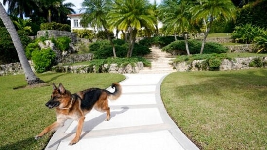 The Tuscan-style villa with views of Biscayne Bay went on sale for a whooping $31.75 million. The home also boasts a gilded framed portrait of Gunther IV over the living room fireplace.(AP)