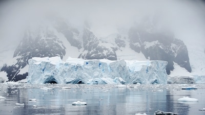 An iceberg floats in Andvord Bay, Antarctica (Reuters) An iceberg floats in Andvord Bay, Antarctica (Reuters)