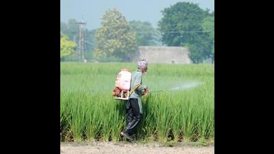 Himachal farmers have demanded adequate fertiliser supply from the state government saying this time of the year is crucial as it is rabi crop sowing season. (HT File Photo/ Representational image) Himachal farmers have demanded adequate fertiliser supply from the state government saying this time of the year is crucial as it is rabi crop sowing season. (HT File Photo/ Representational image)