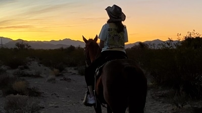 Ananya Panday enjoyed a session of horseback riding in Las Vegas. Ananya Panday enjoyed a session of horseback riding in Las Vegas. 