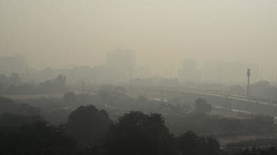 The only positive change in the air quality in the past couple of days was that not was even a single city of Haryana was in ‘severe’ bracket on Sunday. (Parveen Kumar/Hindustan Times)