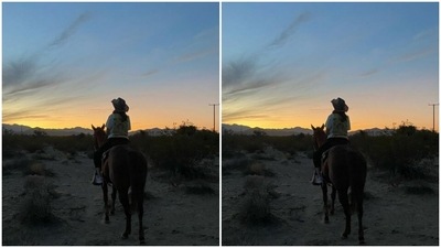 Ananya posed with the horse overlooking a stunning sunset. (Instagram/@ananyapanday) Ananya posed with the horse overlooking a stunning sunset. (Instagram/@ananyapanday)
