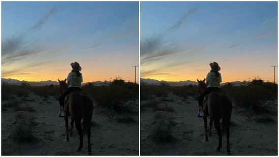 Ananya posed with the horse overlooking a stunning sunset.(Instagram/@ananyapanday)