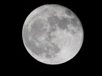 In October this year, the Australian Space Agency signed a deal with NASA to send a rover to the Moon to collect lunar rocks that could provide breathable oxygen.(Reuters file photo) In October this year, the Australian Space Agency signed a deal with NASA to send a rover to the Moon to collect lunar rocks that could provide breathable oxygen.(Reuters file photo)