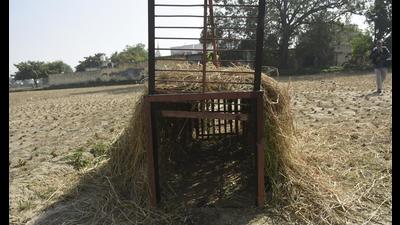 The forest department set up a cage to trap the leopard near the railway tracks at Adhyatmik Nagar, Dasna, in Ghaziabad on Monday. (Sakib Ali/HT) The forest department set up a cage to trap the leopard near the railway tracks at Adhyatmik Nagar, Dasna, in Ghaziabad on Monday. (Sakib Ali/HT)