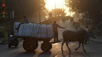 The minimum temperature in Delhi fell to 9.6 degrees on November 17, and 9.8 degrees on Sunday, 3 degrees below normal on both instances. (ANI)