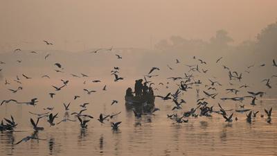 People take a ride on a boat to feed seagulls near the banks of the Yamuna river amid fog in New Delhi on Sunday. (AFP) People take a ride on a boat to feed seagulls near the banks of the Yamuna river amid fog in New Delhi on Sunday. (AFP)