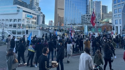 The held banners which read ‘Free Hong Kong’, ‘Fight for freedom’, ‘Stand with HK’. The held banners which read ‘Free Hong Kong’, ‘Fight for freedom’, ‘Stand with HK’.