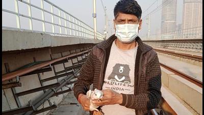 The bird suffered injuries to its wings and was safely transported to the NGO’s transit facility, said a Wildlife SOS member. (Sourced)