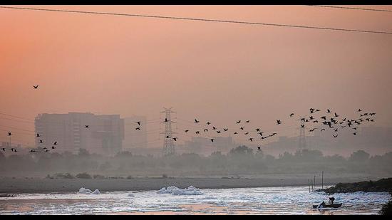 Shrouded in smog, birding spots such as the banks of Yamuna river have lost their charm for NCR birders (Photo: Biplov Bhuyan/HT)
