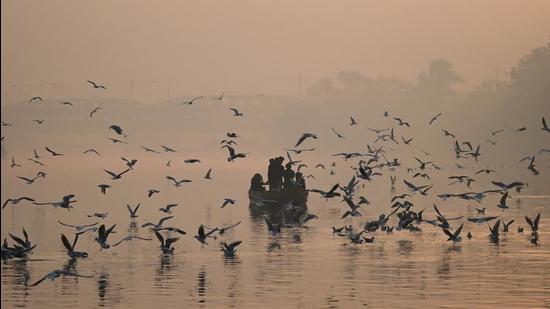 People take a ride on a boat to feed seagulls near the banks of the Yamuna river amid fog in New Delhi on Sunday. (AFP)