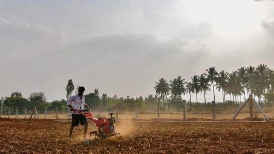 Even as farmers' unions lauded the Centre's announcement to roll back the three agricultural laws, they stuck to their demand for a legislation guaranteeing the minimum support price for crops.(File photo / AFP)