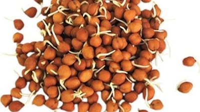In case of weight gain, sprouted chickpea comes handy. It should be consumed 30 minutes before hitting the gym or in empty stomach. It helps in boosting energy and providing the body with nutrients such as complex carbohydrates and protein. (Instagram )