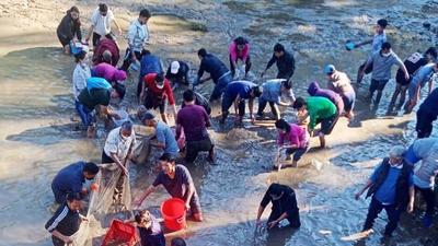 Volunteers engaged in an operation to rescue fish in Dal Lake near Naddi village in Dharamshala on Tuesday, (HT Photo) Volunteers engaged in an operation to rescue fish in Dal Lake near Naddi village in Dharamshala on Tuesday, (HT Photo)