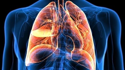 Many post Covid patients in the recent times have been diagnosed with pulmonary fibrosis (Shutterstock) Many post Covid patients in the recent times have been diagnosed with pulmonary fibrosis (Shutterstock)