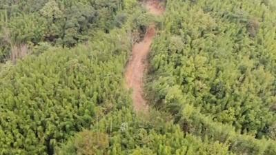 Mizoram has constructed a stretch of a 3.5km road inside a reserve forest in Assam, officials have said citing a drone survey conducted in Assam’s Hailakandi on Sunday. (Supplied photo) Mizoram has constructed a stretch of a 3.5km road inside a reserve forest in Assam, officials have said citing a drone survey conducted in Assam’s Hailakandi on Sunday. (Supplied photo)