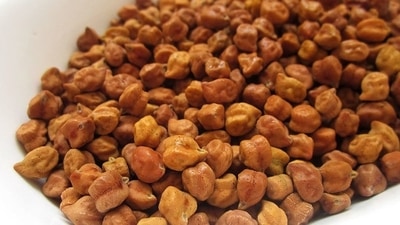 Sprouted chickpea contain fibre which helps in better bowel movement. (Instagram ) Sprouted chickpea contain fibre which helps in better bowel movement. (Instagram )
