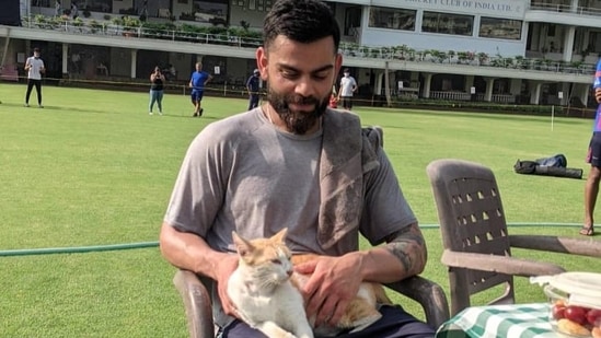 Virat Kohli shares a picture with a cat.(Instagram) Virat Kohli shares a picture with a cat.(Instagram)