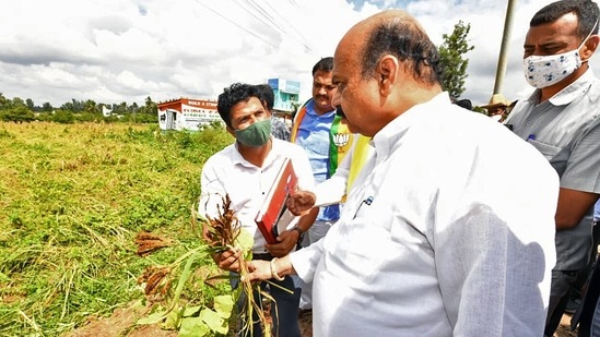 Karnataka Chief Minister Basavaraj S Bommai checks the damaged crops during his visit to the rain-affected areas at Hoskote, in Bengaluru.(ANI)
