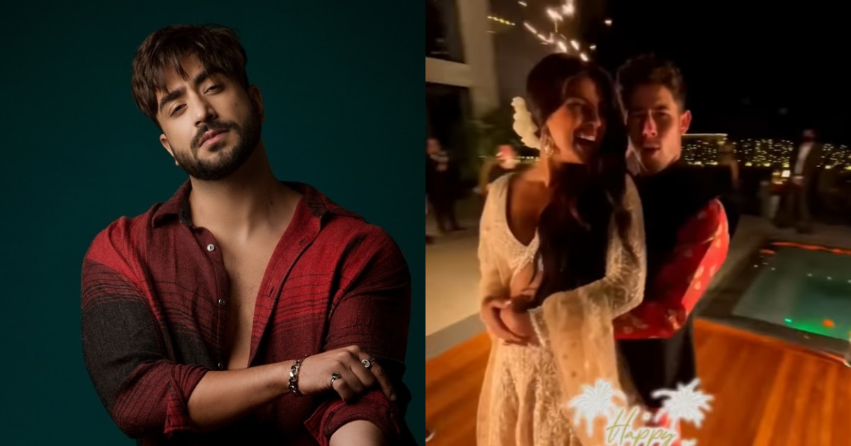 Aly Goni shares a meme about Priyanka Chopra and Nick Jonas' break-up rumours.&nbsp;