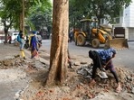 Apart from removing the concrete with machines, the corporation was also allowing residents and officials from embassies that are located in the area to clear the area around trees themselves. (Amal KS/HT Photo) Apart from removing the concrete with machines, the corporation was also allowing residents and officials from embassies that are located in the area to clear the area around trees themselves. (Amal KS/HT Photo)
