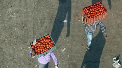 Tamil Nadu primarily receives its tomatoes from two regions in Karnataka and three regions in Andhra Pradesh