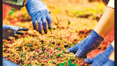 Delhi-NCR hotels are back to hosting cake mixing ceremonies this year, in a masked-up, vaxxed and sanitised format. Delhi-NCR hotels are back to hosting cake mixing ceremonies this year, in a masked-up, vaxxed and sanitised format.