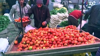 "With high fuel prices and rainfall, vegetable prices tend to rise. How will daily-wage workers buy tomatoes worth <span class='webrupee'>₹</span>70/kg?," said a vendor while speaking to news agency ANI. (ANI) "With high fuel prices and rainfall, vegetable prices tend to rise. How will daily-wage workers buy tomatoes worth <span class='webrupee'>₹</span>70/kg?," said a vendor while speaking to news agency ANI. (ANI)