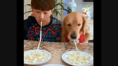 The image shows the human and the dog taking part in the food challenge. (Screengrab)
