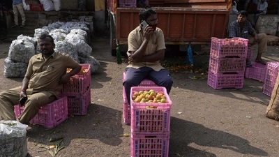 Labourers wait for the retail vendors next to crate containing tomatoes at a vegetable wholesale market in Hyderabad on November 24 as the retail price for tomatoes reached rupees 100 per Kg due to unseasonal rains and a hike in fuel cost in several parts of the country. (AFP) Labourers wait for the retail vendors next to crate containing tomatoes at a vegetable wholesale market in Hyderabad on November 24 as the retail price for tomatoes reached rupees 100 per Kg due to unseasonal rains and a hike in fuel cost in several parts of the country. (AFP)