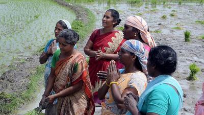 A file photo of farmers in Madurai district, Tamil Nadu. (PTI) A file photo of farmers in Madurai district, Tamil Nadu. (PTI)