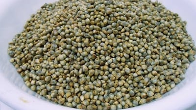Jowar apart from aiding digestion process also supports your heart health (Pinterest)