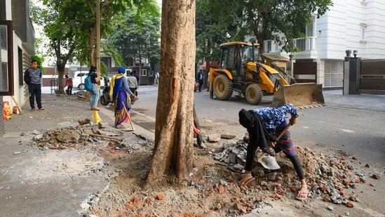 Apart from removing the concrete with machines, the corporation was also allowing residents and officials from embassies that are located in the area to clear the area around trees themselves. (Amal KS/HT Photo) Apart from removing the concrete with machines, the corporation was also allowing residents and officials from embassies that are located in the area to clear the area around trees themselves. (Amal KS/HT Photo)