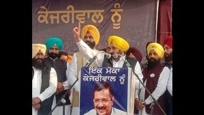 Aam Aadmi Party Punjab president Bhagwant Mann addressing a rally at Tarn Taran district’s Patti sub-division on Thursday. Aam Aadmi Party Punjab president Bhagwant Mann addressing a rally at Tarn Taran district’s Patti sub-division on Thursday.