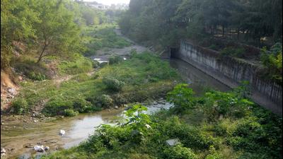 N-Choe is a seasonal stream that originates in the north of Chandigarh and runs across the city before meeting the Jagatpura drain at Manauli village in Mohali.