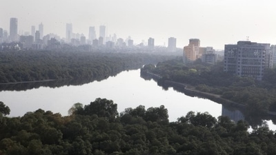 Experts cautioned these tweaks could degrade fragile landscapes in coastal areas. (HT FILE)