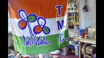 There is no doubt that the Trinamool Congress has been displaying raw political hunger, ambition, and lots of energy — crucial qualities in the electoral theatre. (PTI) There is no doubt that the Trinamool Congress has been displaying raw political hunger, ambition, and lots of energy — crucial qualities in the electoral theatre. (PTI)