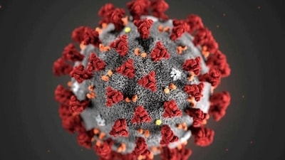 The image shows an illustration created at CDC of coronavirus structure (representational image). (REUTERS)