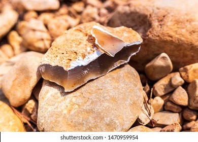 The actual flint stone is amazing and happens to be white in colour. Let us find out the use of this stone. The actual flint stone is amazing and happens to be white in colour. Let us find out the use of this stone.